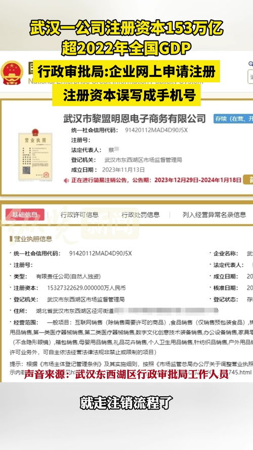 武漢一公司注冊資本高達153萬億 官方回應 企業注冊時誤寫成手機號